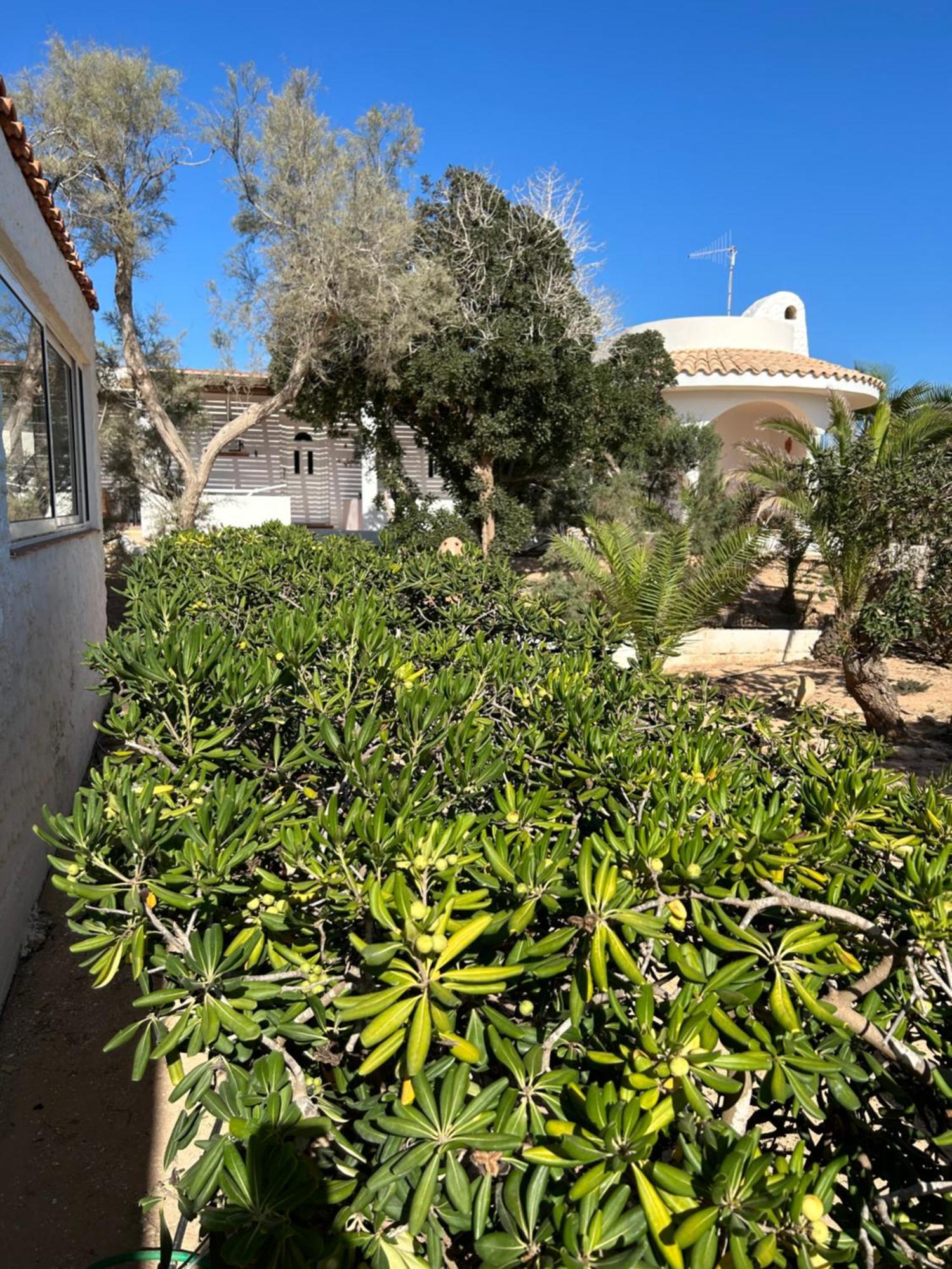 Oasi Di Casablanca Hotel LMP Екстериор снимка