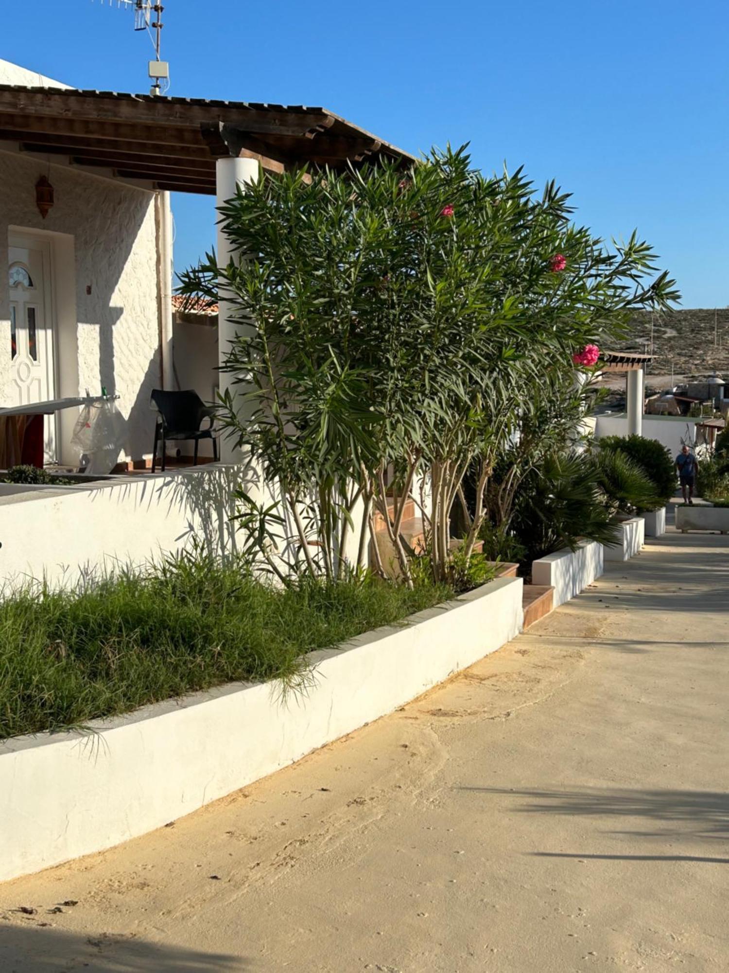 Oasi Di Casablanca Hotel LMP Екстериор снимка