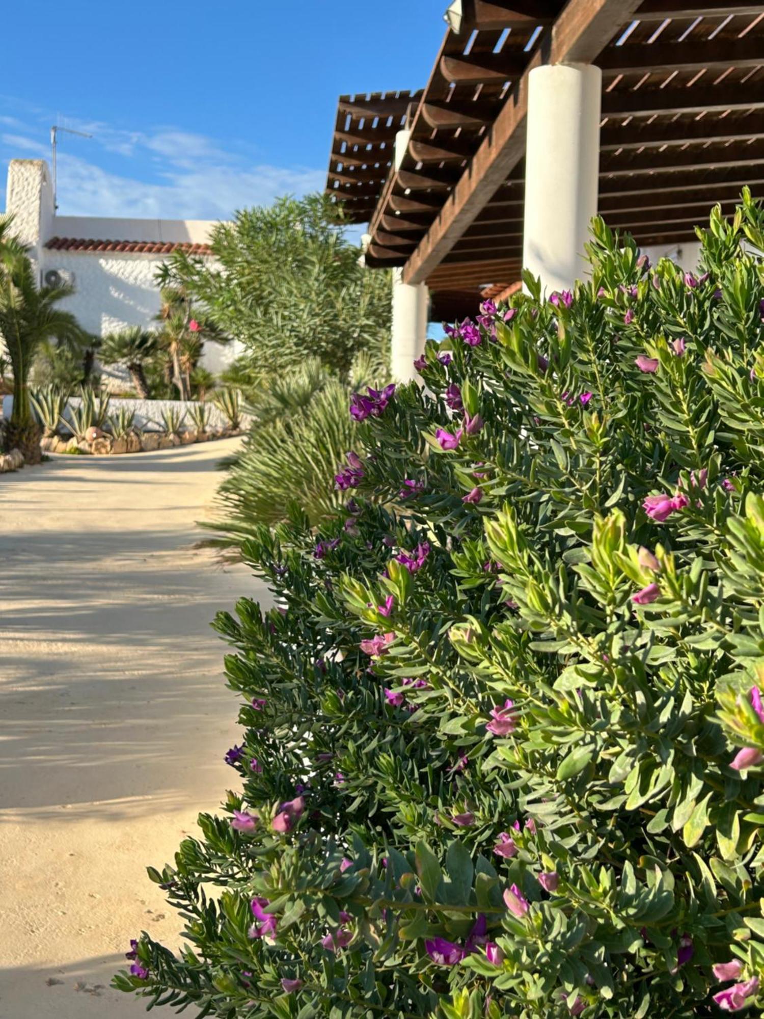 Oasi Di Casablanca Hotel LMP Екстериор снимка