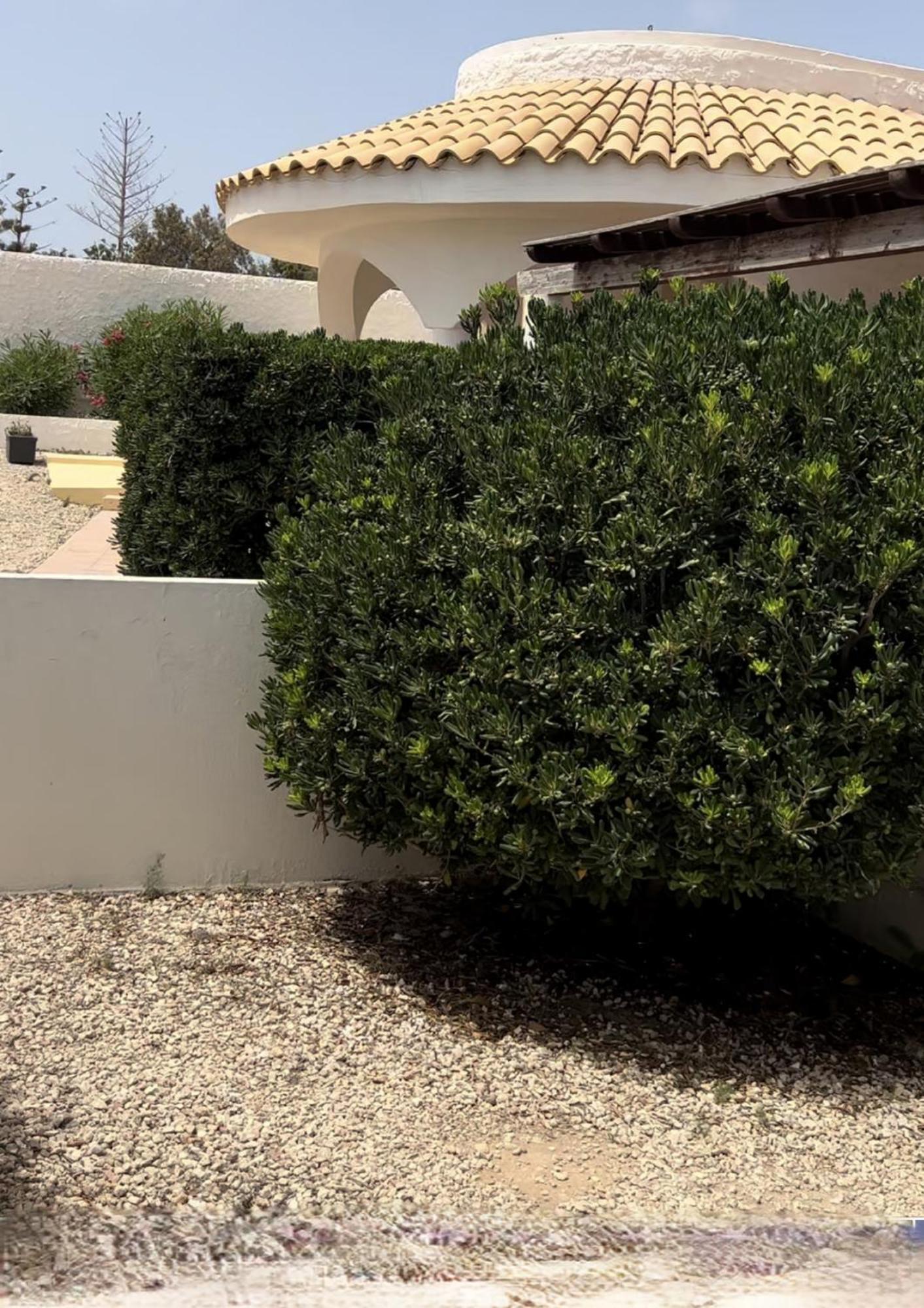 Oasi Di Casablanca Hotel LMP Екстериор снимка