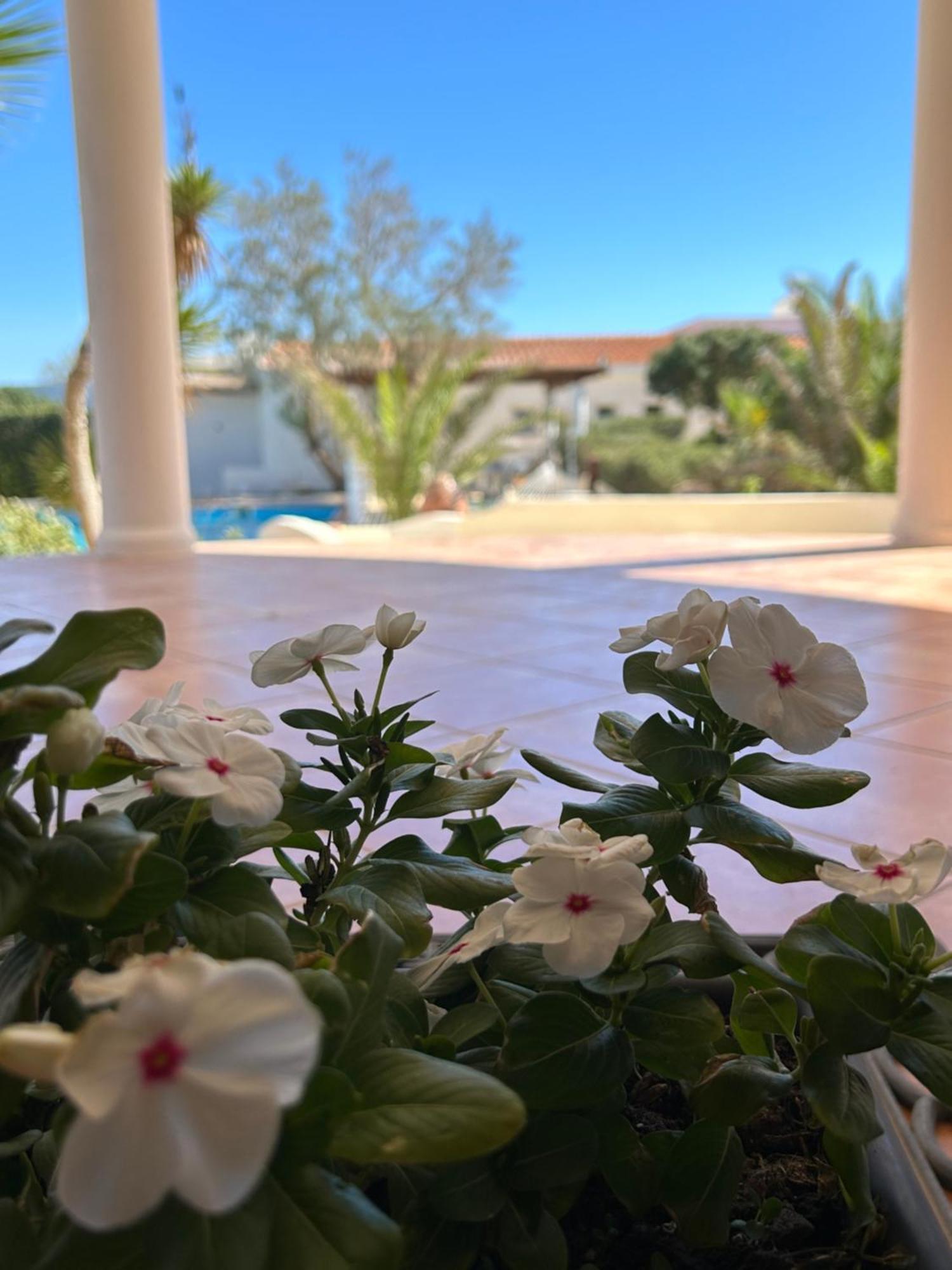 Oasi Di Casablanca Hotel LMP Екстериор снимка