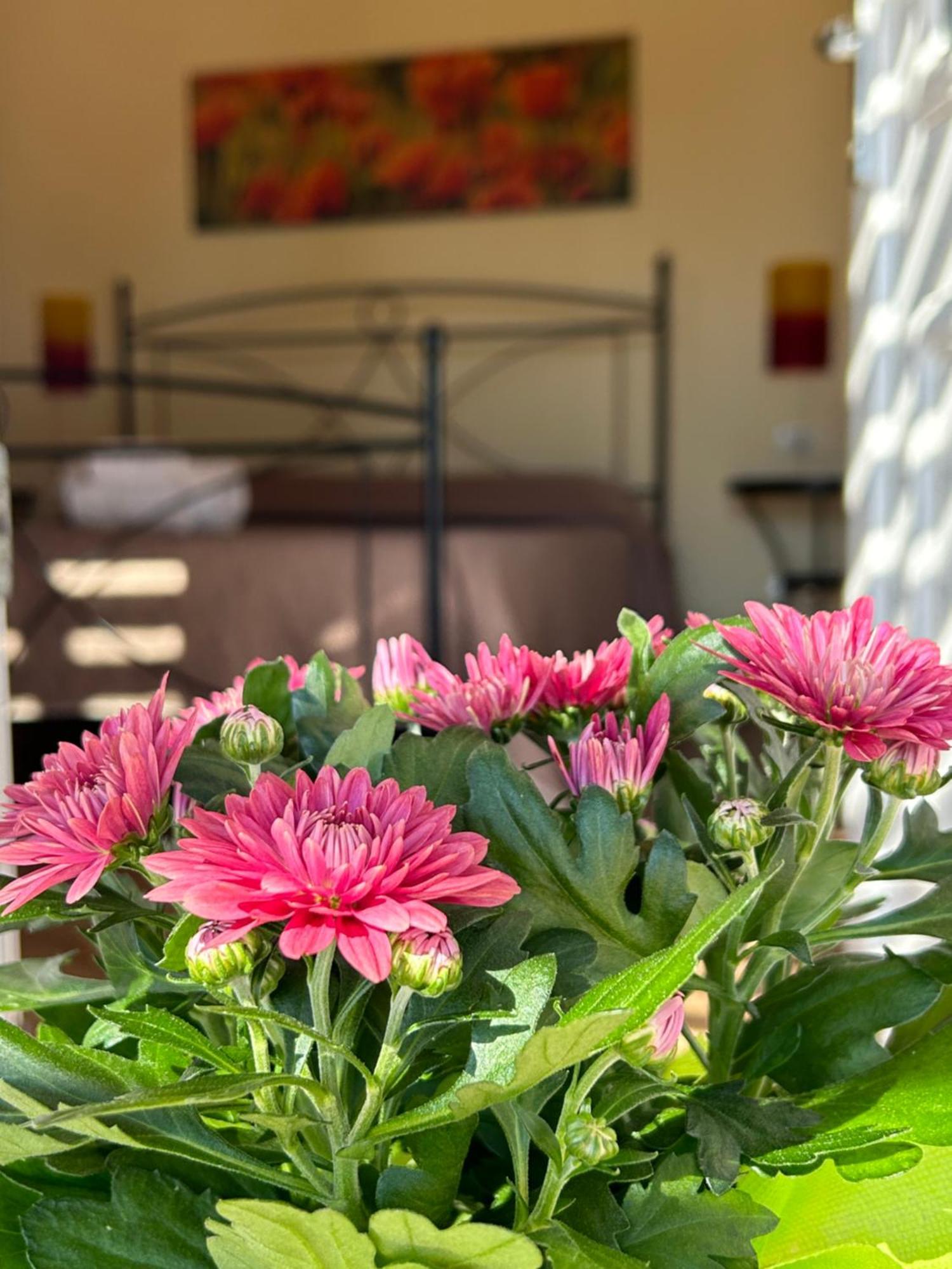 Oasi Di Casablanca Hotel LMP Екстериор снимка