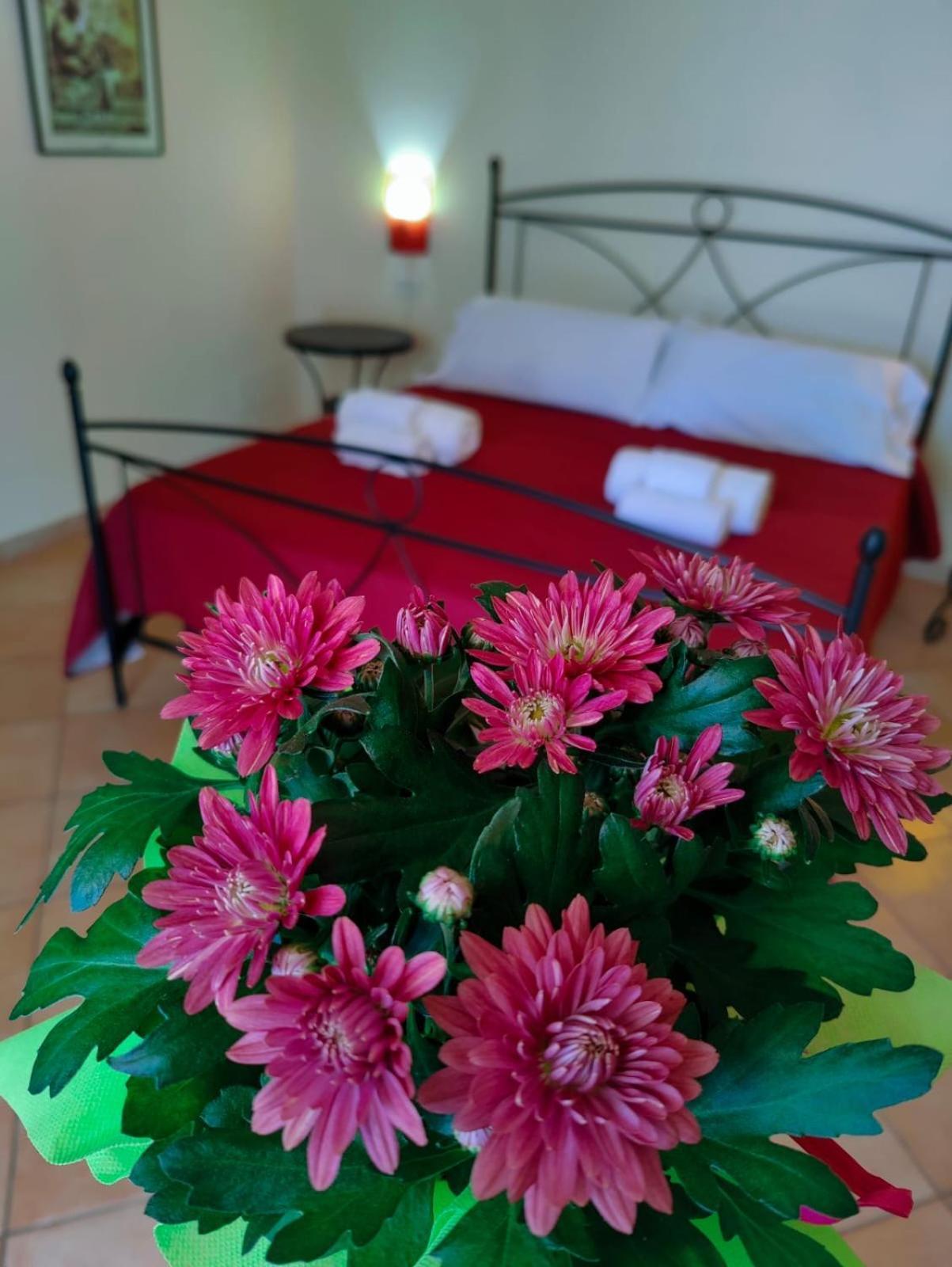 Oasi Di Casablanca Hotel LMP Екстериор снимка